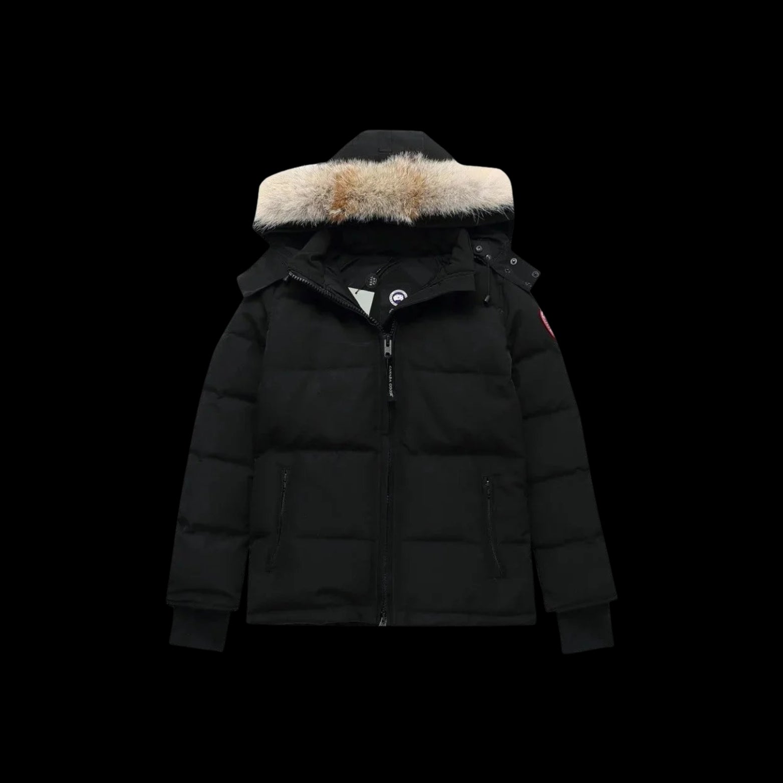 CG WINTER JACKET